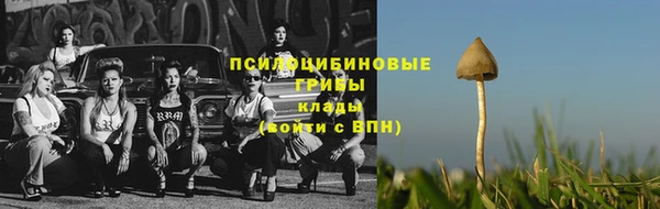 прущая мука Саяногорск