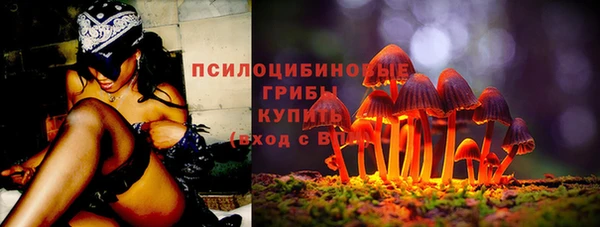 МДПВ Абаза
