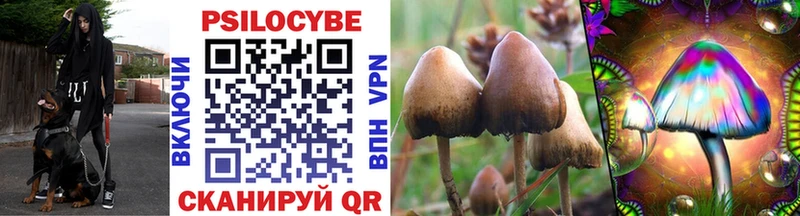 Псилоцибиновые грибы Psilocybine cubensis  Вытегра 